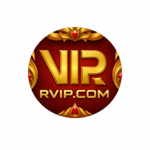 RVIP.COM